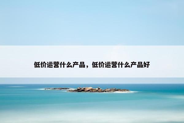 低价运营什么产品，低价运营什么产品好