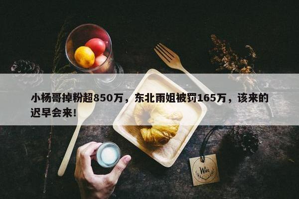 小杨哥掉粉超850万，东北雨姐被罚165万，该来的迟早会来！