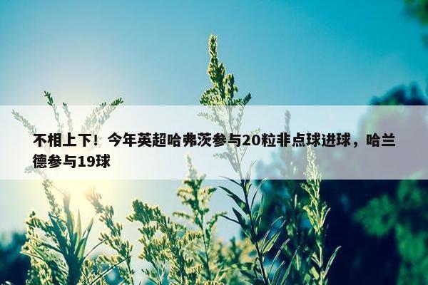 不相上下！今年英超哈弗茨参与20粒非点球进球，哈兰德参与19球