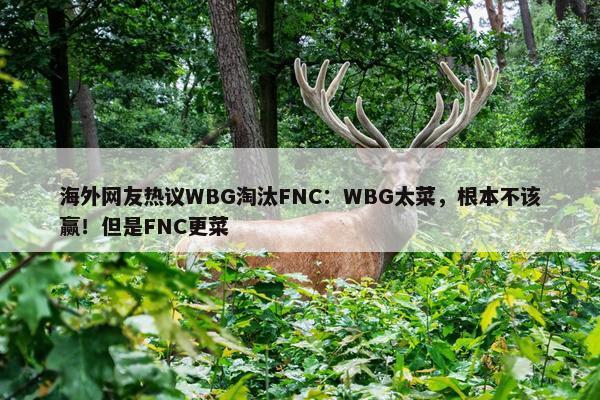 海外网友热议WBG淘汰FNC：WBG太菜，根本不该赢！但是FNC更菜