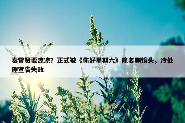 秦霄贤要凉凉？正式被《你好星期六》除名删镜头，冷处理宣告失败