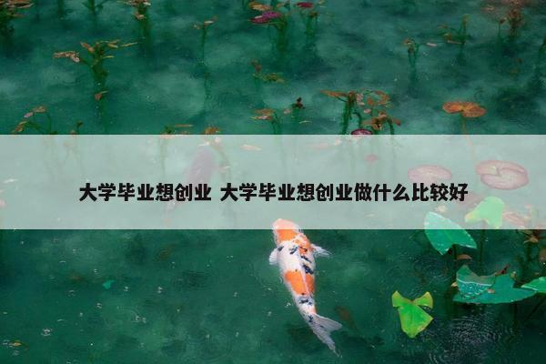 大学毕业想创业 大学毕业想创业做什么比较好