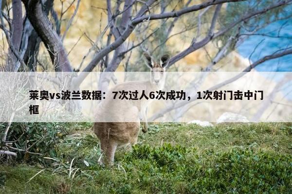 莱奥vs波兰数据：7次过人6次成功，1次射门击中门框