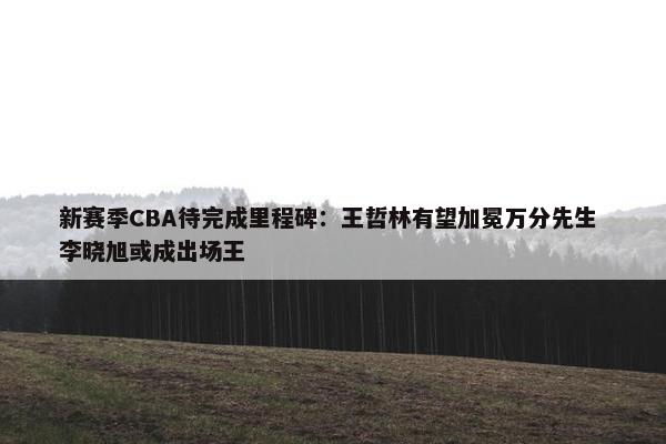 新赛季CBA待完成里程碑：王哲林有望加冕万分先生 李晓旭或成出场王