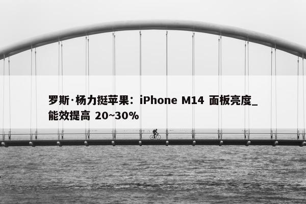 罗斯·杨力挺苹果：iPhone M14 面板亮度_能效提高 20~30%