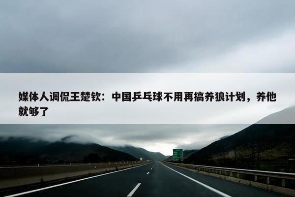 媒体人调侃王楚钦：中国乒乓球不用再搞养狼计划，养他就够了