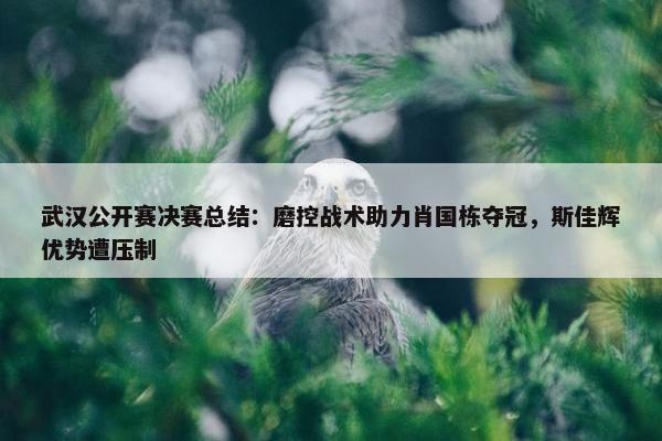 武汉公开赛决赛总结：磨控战术助力肖国栋夺冠，斯佳辉优势遭压制