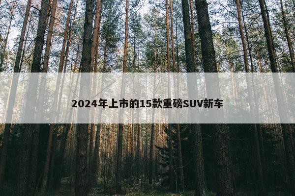 2024年上市的15款重磅SUV新车