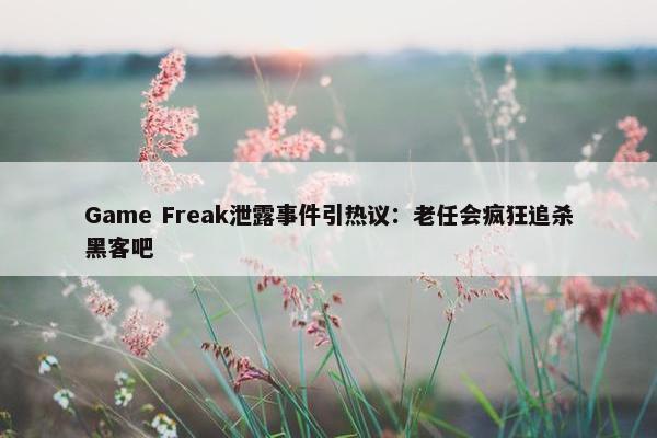 Game Freak泄露事件引热议：老任会疯狂追杀黑客吧