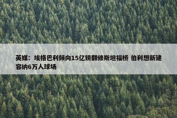 英媒：埃格巴利倾向15亿镑翻修斯坦福桥 伯利想新建容纳6万人球场