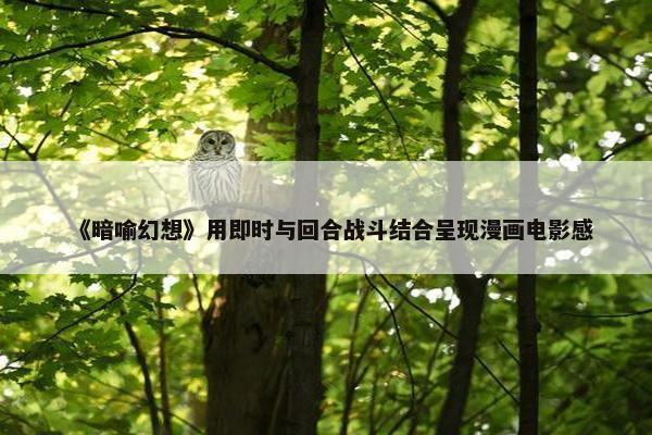 《暗喻幻想》用即时与回合战斗结合呈现漫画电影感