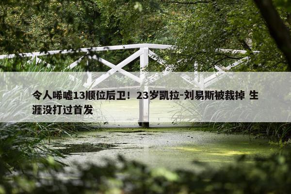 令人唏嘘13顺位后卫！23岁凯拉-刘易斯被裁掉 生涯没打过首发