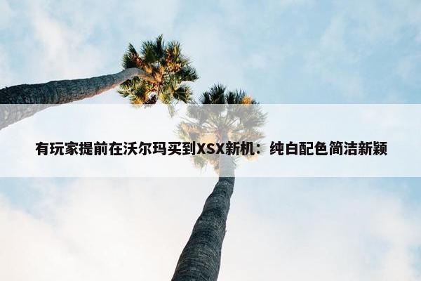 有玩家提前在沃尔玛买到XSX新机：纯白配色简洁新颖