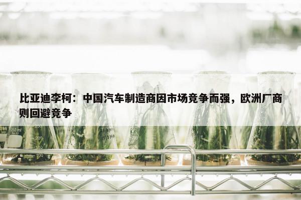 比亚迪李柯：中国汽车制造商因市场竞争而强，欧洲厂商则回避竞争