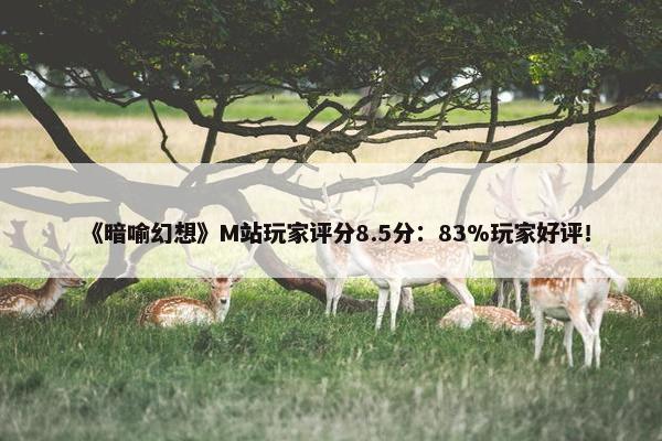 《暗喻幻想》M站玩家评分8.5分：83%玩家好评！