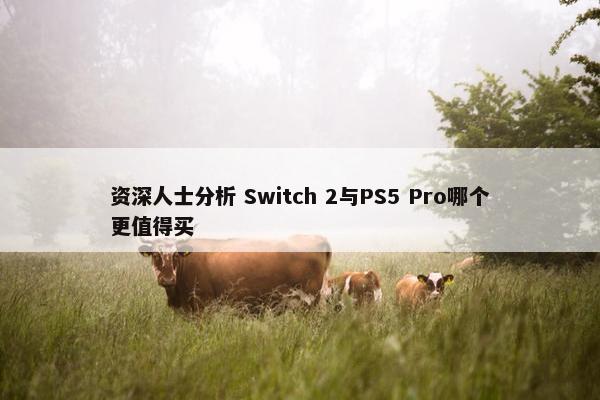 资深人士分析 Switch 2与PS5 Pro哪个更值得买