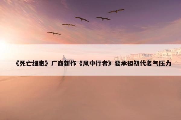 《死亡细胞》厂商新作《风中行者》要承担初代名气压力