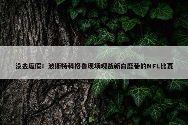 没去度假！波斯特科格鲁现场观战新白鹿巷的NFL比赛