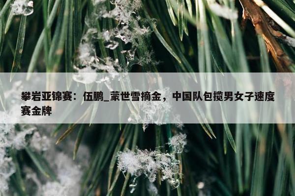 攀岩亚锦赛：伍鹏_蒙世雪摘金，中国队包揽男女子速度赛金牌