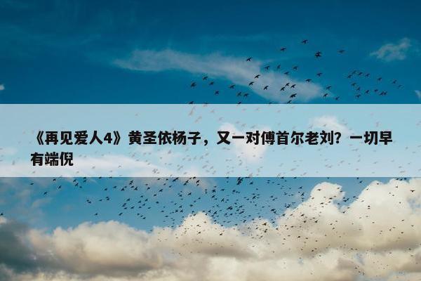 《再见爱人4》黄圣依杨子，又一对傅首尔老刘？一切早有端倪