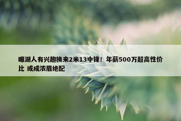 曝湖人有兴趣换来2米13中锋！年薪500万超高性价比 或成浓眉绝配