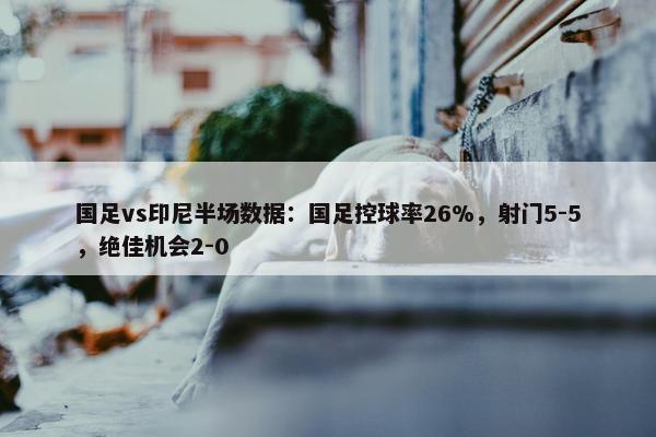 国足vs印尼半场数据：国足控球率26%，射门5-5，绝佳机会2-0