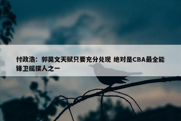 付政浩：郭昊文天赋只要充分兑现 绝对是CBA最全能锋卫摇摆人之一