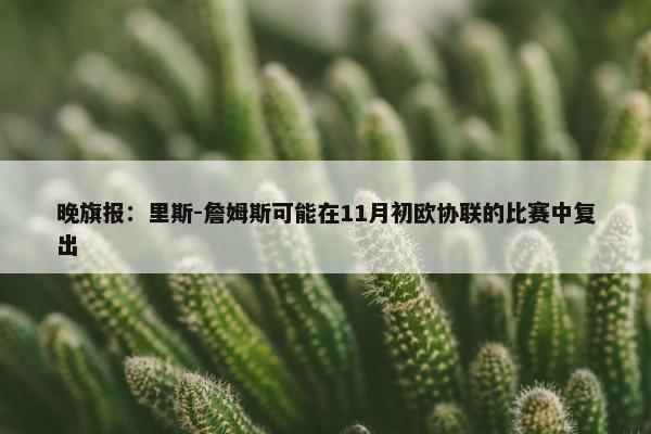 晚旗报：里斯-詹姆斯可能在11月初欧协联的比赛中复出