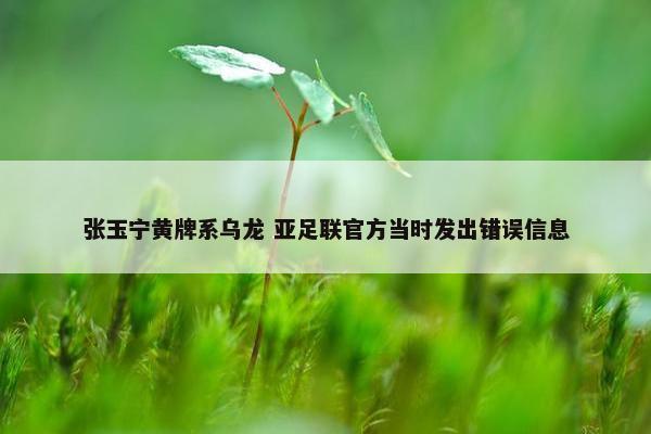 张玉宁黄牌系乌龙 亚足联官方当时发出错误信息