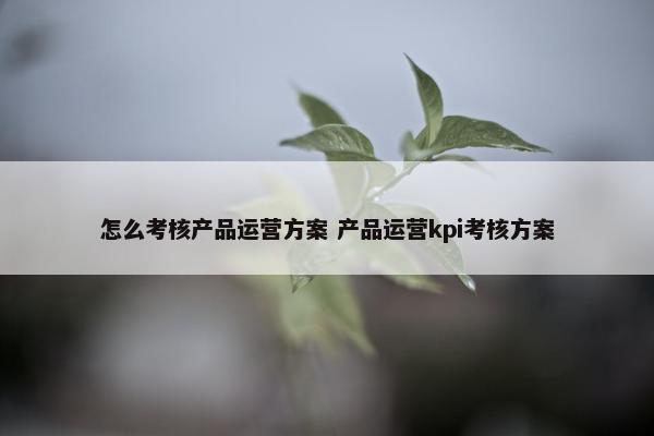 怎么考核产品运营方案 产品运营kpi考核方案