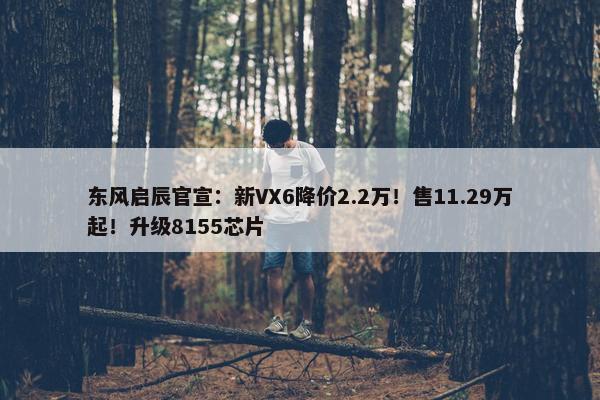 东风启辰官宣：新VX6降价2.2万！售11.29万起！升级8155芯片