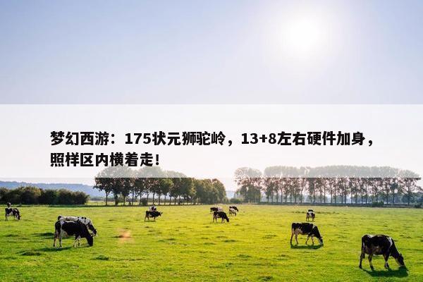 梦幻西游：175状元狮驼岭，13+8左右硬件加身，照样区内横着走！