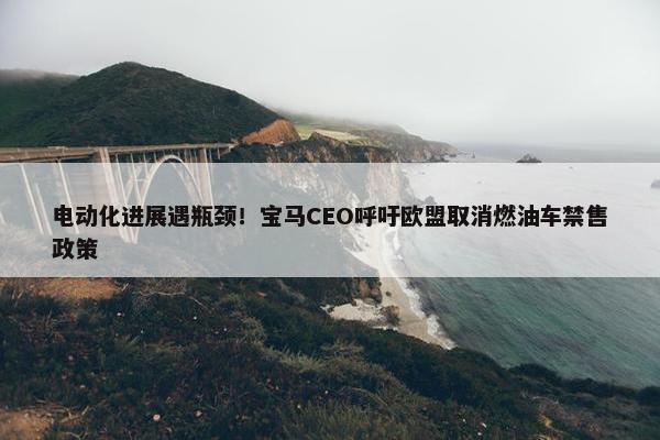 电动化进展遇瓶颈！宝马CEO呼吁欧盟取消燃油车禁售政策