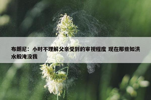 布朗尼：小时不理解父亲受到的审视程度 现在那些如洪水般淹没我