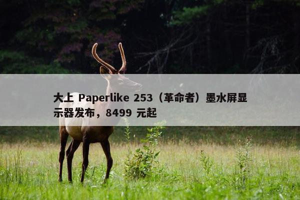 大上 Paperlike 253（革命者）墨水屏显示器发布，8499 元起