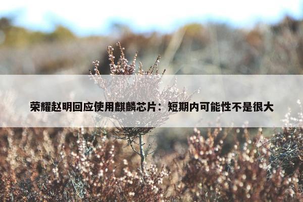 荣耀赵明回应使用麒麟芯片：短期内可能性不是很大