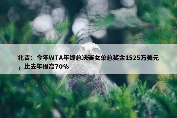 北青：今年WTA年终总决赛女单总奖金1525万美元，比去年提高70%