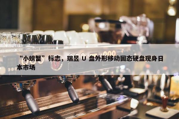 “小螃蟹”标志，瑞昱 U 盘外形移动固态硬盘现身日本市场