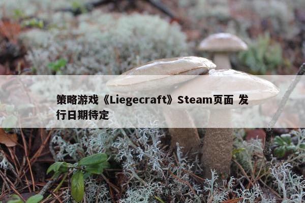 策略游戏《Liegecraft》Steam页面 发行日期待定