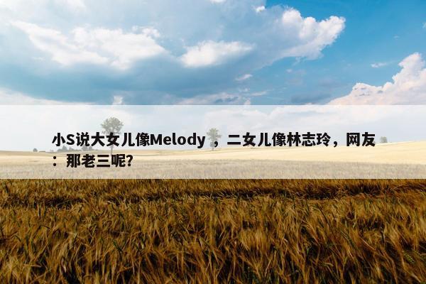 小S说大女儿像Melody ，二女儿像林志玲，网友：那老三呢？