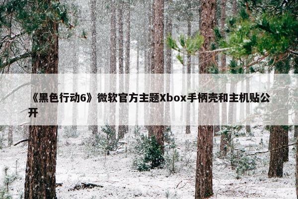 《黑色行动6》微软官方主题Xbox手柄壳和主机贴公开