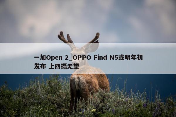 一加Open 2_OPPO Find N5或明年初发布 上四摄无望