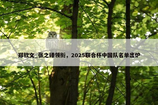 郑钦文_张之臻领衔，2025联合杯中国队名单出炉