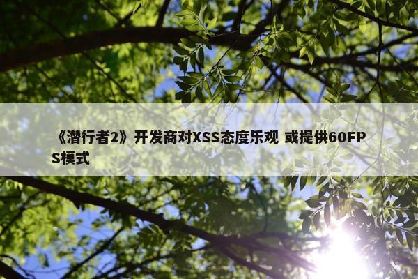 《潜行者2》开发商对XSS态度乐观 或提供60FPS模式