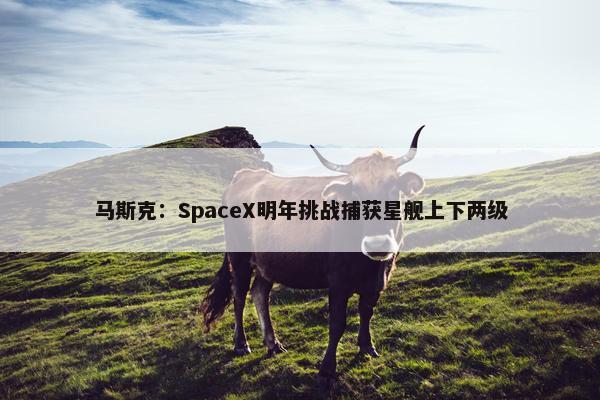 马斯克：SpaceX明年挑战捕获星舰上下两级