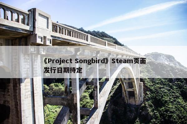 《Project Songbird》Steam页面 发行日期待定