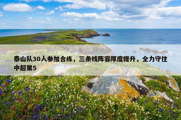 泰山队30人参加合练，三条线阵容厚度提升，全力守住中超第5