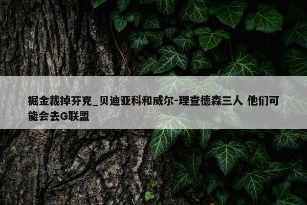 掘金裁掉芬克_贝迪亚科和威尔-理查德森三人 他们可能会去G联盟