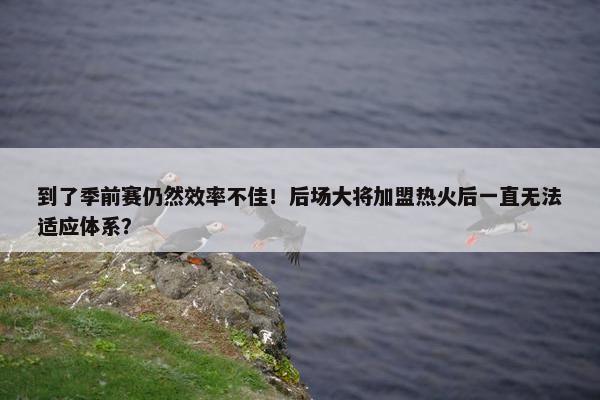 到了季前赛仍然效率不佳！后场大将加盟热火后一直无法适应体系？