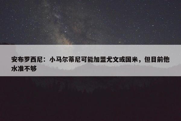 安布罗西尼：小马尔蒂尼可能加盟尤文或国米，但目前他水准不够